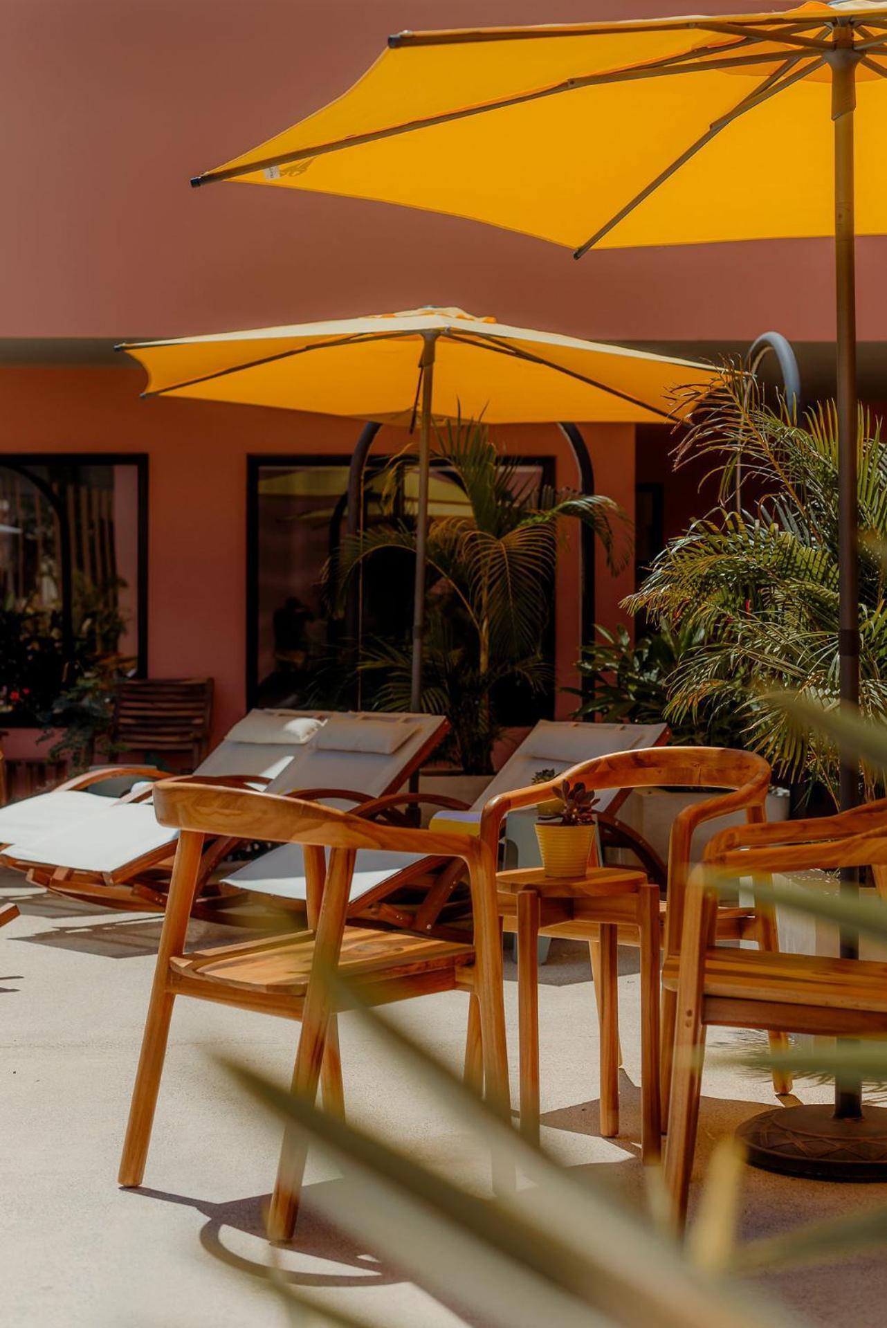 Hotel Amavi 哈科 外观 照片